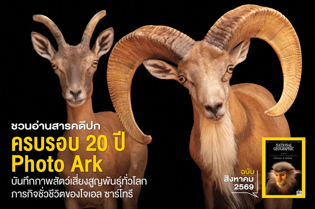 โฟโต้อาร์ก-เป็นโครงการของ-โจเอล-ซาร์โทรี-(joel-sartore)-ช่