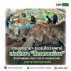 ðððð-:-กรมอุทยานแห่งชาติ-ระดมสัตวแพทย์เร่งรักษา-“สีดอทองม้วน”-ช้างป