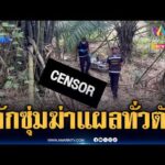 ด่วน ตำรวจเร่งไขคดีดักซุ่มฆ่-าหนุ่มกรีดยาง บาดแผลทั่วร่างกาย | ข่าวเที่ยงอมรินทร์ 3 ส.ค. 69
