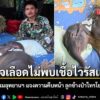 วันนี้-3-สิงหาคม-2569-กรมอุทยานแห่งชาติ-สัตว์ป่า-และพันธุ์พื