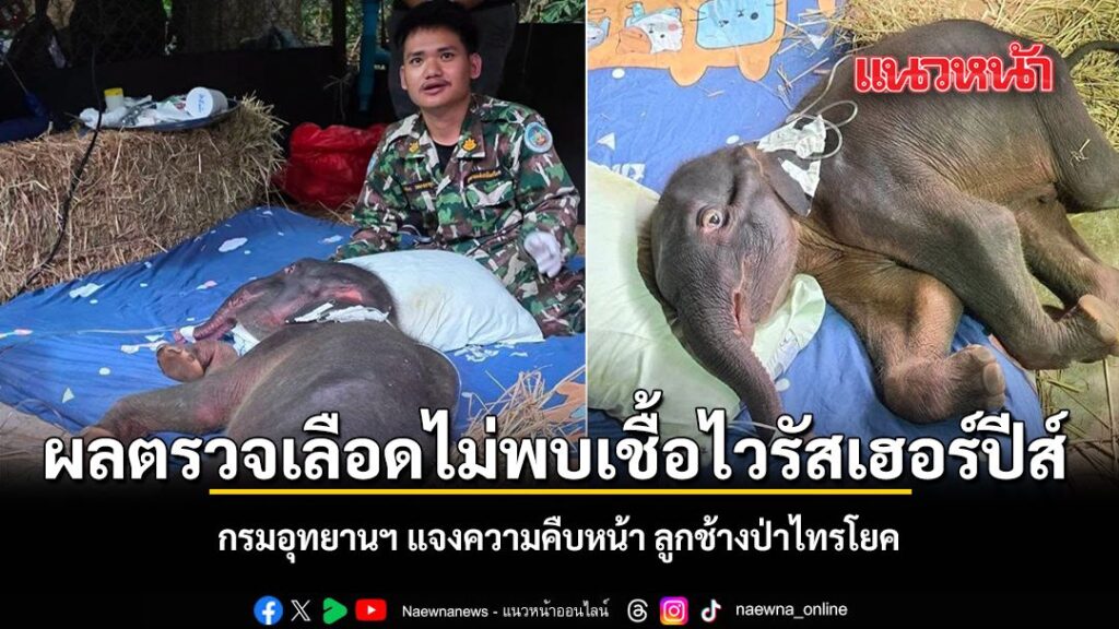 วันนี้-3-สิงหาคม-2569-กรมอุทยานแห่งชาติ-สัตว์ป่า-และพันธุ์พื