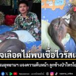 วันนี้-3-สิงหาคม-2569-กรมอุทยานแห่งชาติ-สัตว์ป่า-และพันธุ์พื