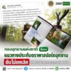 -กองอุทยานแห่งชาติ-ชี้แจงแนวทางประทับตราพาสปอร์ตอุทยาน-ยันไ
