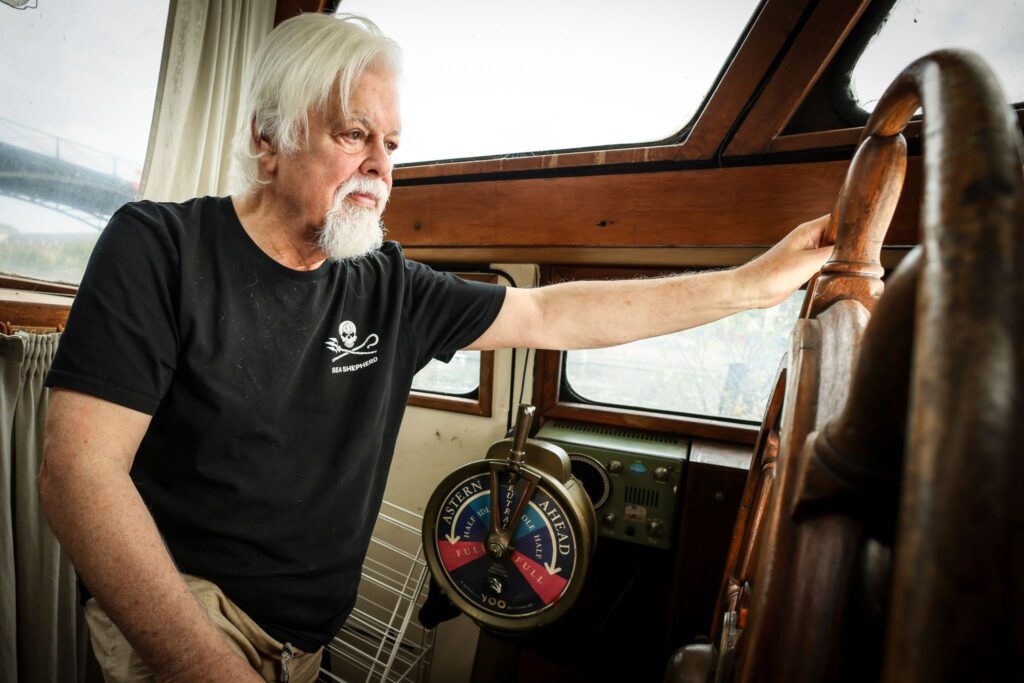 iceland-seizes-paul-watson-foundations-anti-whaling-ship-and-detains-its-crew