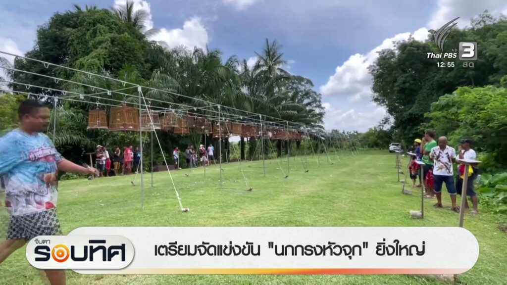 เตรียมจัดแข่งขัน-“นกกรงหัวจุก”-ยิ่งใหญ่-ข่าวใต้แลได้ที่เรา