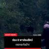 ช่อง-8-พาส่องสัตว์-เซอร์ไพรส์เจอกระทิงป่า