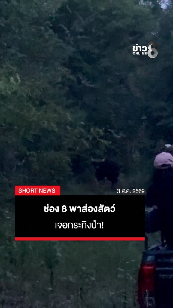 ช่อง-8-พาส่องสัตว์-เซอร์ไพรส์เจอกระทิงป่า