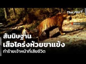 สันนิษฐานเสือโคร่งห้วยขาแข้ง ทำร้ายเจ้าหน้าที่เสียชีวิต | ข่าวค่ำ 5 ส.ค. 69