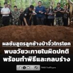 สบอ.3-เผยผลชันสูตร-“ลูกช้างป่าจิ๋วไทรโยค”-พบอวัยวะภายในผิดปก-|-2026-08-05-03:16:00