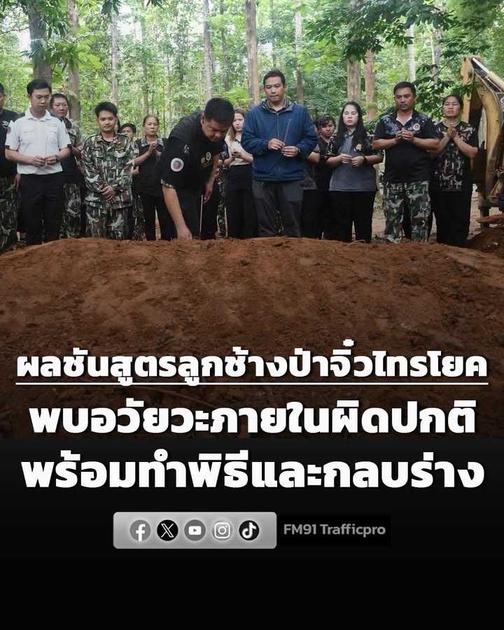 สบอ.3-เผยผลชันสูตร-“ลูกช้างป่าจิ๋วไทรโยค”-พบอวัยวะภายในผิดปก-|-2026-08-05-03:16:00