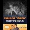 เปิดประวัติ เสือเด็ก สาเหตุทำร้าย เจ้าหน้าที่ดับ อัพเดทข่าว