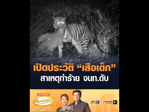 เปิดประวัติ เสือเด็ก สาเหตุทำร้าย เจ้าหน้าที่ดับ อัพเดทข่าว