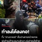 สะเทือนใจ