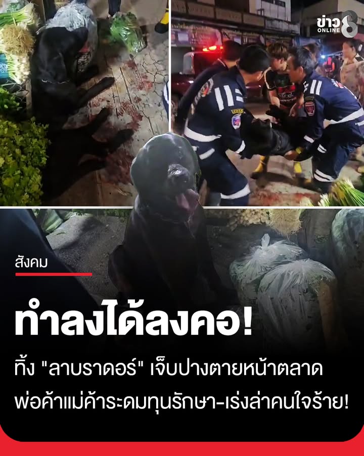 สะเทือนใจ