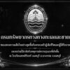 -กรมทรัพยากรทางทางทะเลและชายฝั่ง-️ขอแสดงความเสียใจอย่า
