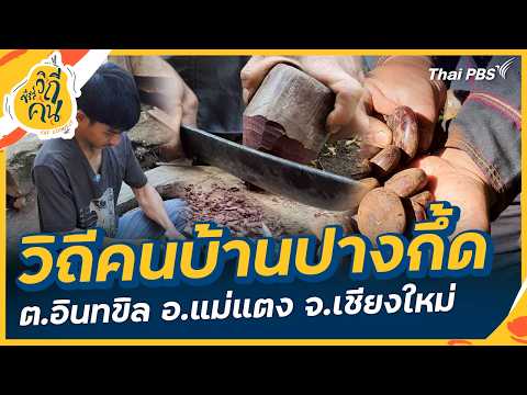 วิถีคนบ้านปางกึ้ด ต.อินทขิล อ.แม่แตง จ.เชียงใหม่ | ซีรีส์วิถีคน