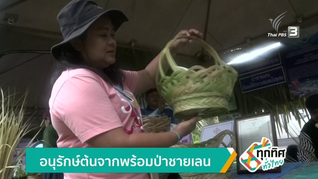 อนุรักษ์ต้นจากพร้อมป่าชายเลน-ข่าวใต้แลได้ที่เรา-new