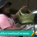 อนุรักษ์ต้นจากพร้อมป่าชายเลน-ข่าวใต้แลได้ที่เรา-new