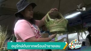 อนุรักษ์ต้นจากพร้อมป่าชายเลน-ข่าวใต้แลได้ที่เรา-new