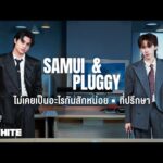 ฟังเพลง ดู InWhite Ep.5 SAMUI X PLUGGY ไม่เคยเป็นอะไรกันสักหน่อย | ที่ปรึกษา อัพเดท