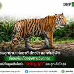 -กรมอุทยานแห่งชาติ-สัตว์ป่า-และพันธุ์พืช​-ชี้แจงข้อเท็จจริง