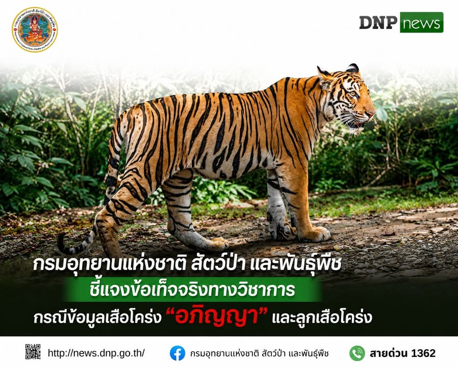-กรมอุทยานแห่งชาติ-สัตว์ป่า-และพันธุ์พืช​-ชี้แจงข้อเท็จจริง
