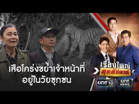 ลูกเสือโคร่ง ขย้ำเจ้าหน้าที่ อยู่ในวัยซุกซน | เรื่องใหญ่สุดสัปดาห์ | สำนักข่าววันนิวส์