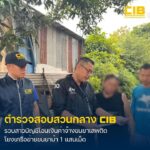 รวบสาวบัญชีเครือข่ายยาเสพติด-ทำหน้าที่โอนเงินค่าจ้างขนยาบ้า