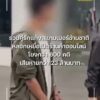 รวบ-2-คู่รักสายตุ๋น-แก๊งสแกมเมอร์ข้ามชาติ-ลวงเหยื่อเปิดร้าน