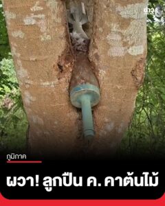 เจ้าหน้าที่เขตรักษาพันธุ์สัตว์ป่าดงใหญ่-เจอลูกปืน-ค