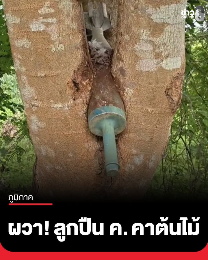 เจ้าหน้าที่เขตรักษาพันธุ์สัตว์ป่าดงใหญ่-เจอลูกปืน-ค