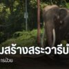 พลายศักดิ์สุรินทร์-ช้างไทยทูตสันถวไมตรีในประเทศศรีลังกาถูกส่