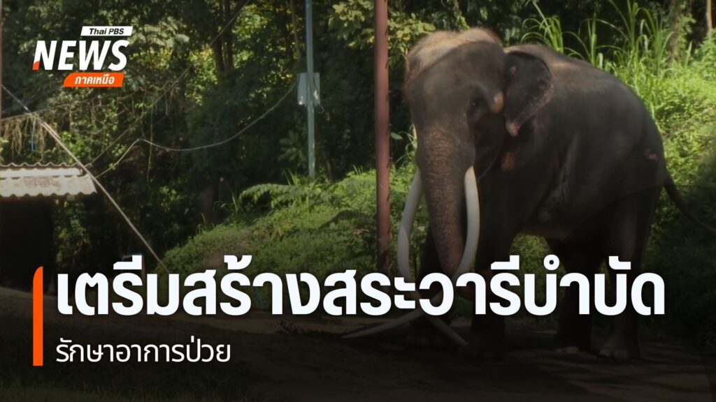 พลายศักดิ์สุรินทร์-ช้างไทยทูตสันถวไมตรีในประเทศศรีลังกาถูกส่