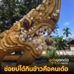 ข่อยบ่ได้ใหญ่ย้อนคำข้าวเด้อ-ผุได๋-คือเฮ็ดบาปเพิ่นคักแน่แท้