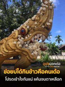 ข่อยบ่ได้ใหญ่ย้อนคำข้าวเด้อ-ผุได๋-คือเฮ็ดบาปเพิ่นคักแน่แท้