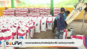 เกษตรกรตรังรวมตัวผลิตปุ๋ยอินทรีย์-ลดต้นทุนการผลิต-ข่าวใต้แล