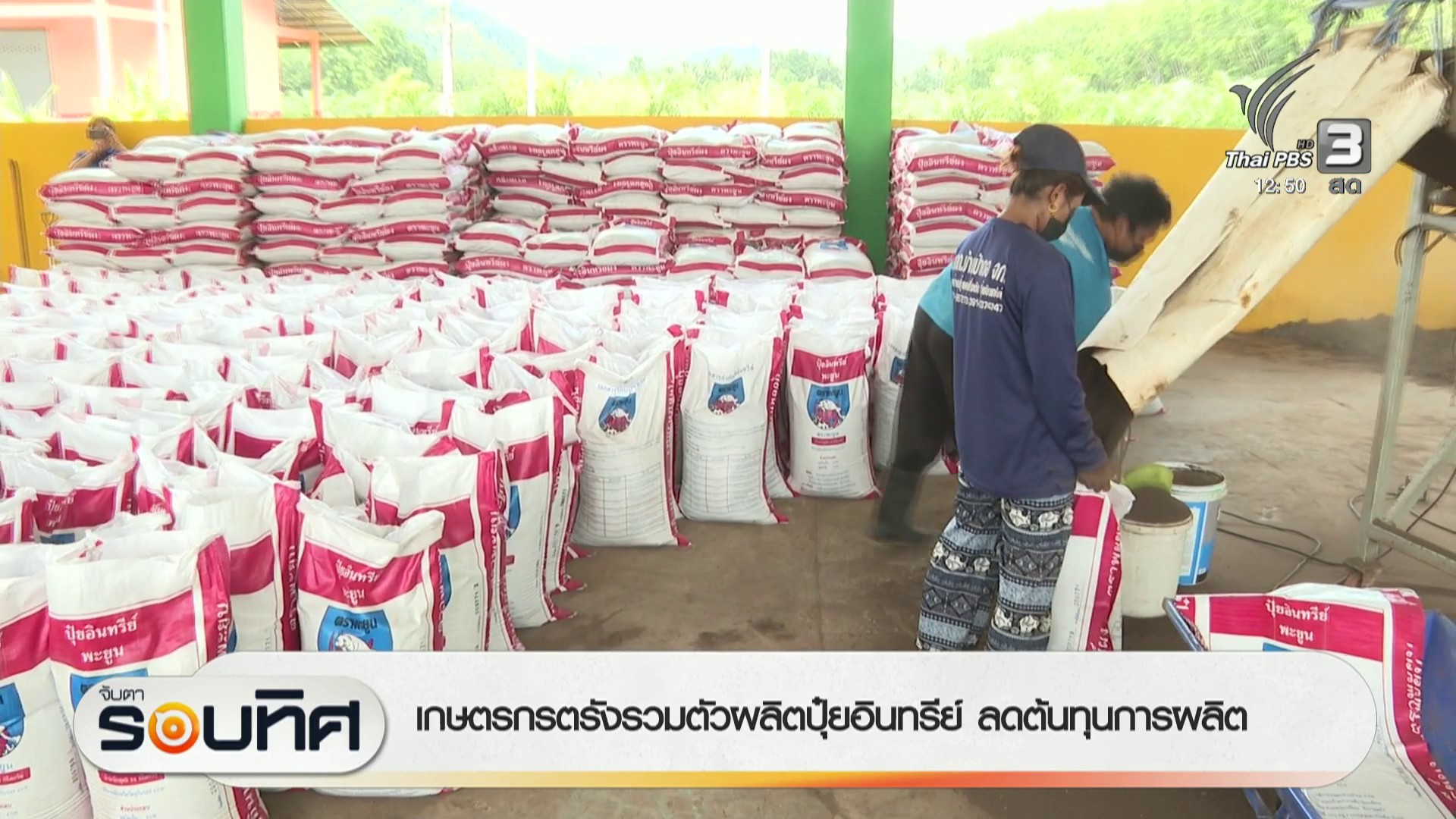 เกษตรกรตรังรวมตัวผลิตปุ๋ยอินทรีย์-ลดต้นทุนการผลิต-ข่าวใต้แล