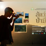 ชวนคนรักธรรมชาติ-ส่งภาพประกวด-‘สัตว์มีค่า-ป่ามีคุณ’-ปี-2569-ชิงถ้วยพระราชทานฯ
