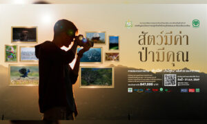 ชวนคนรักธรรมชาติ-ส่งภาพประกวด-‘สัตว์มีค่า-ป่ามีคุณ’-ปี-2569-ชิงถ้วยพระราชทานฯ