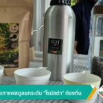 เครือข่ายกาแฟสตูลยกระดับ-“โรบัสต้า”-ท้องถิ่น-ข่าวใต้แลได้ที