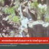 ตรวจสอบโครงการสร้างโรงแรมเกาะพะงัน-ปล่อยน้ำปูนฯลงทะเล-ข่าวใ