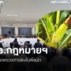 กมธ.กฎหมายฯ-แนะเปิดเผยข้อมูลตรวจสารโลหะหนัก-ปนเปื้อน-พืช-ผัก