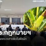 กมธ.กฎหมายฯ-แนะเปิดเผยข้อมูลตรวจสารโลหะหนัก-ปนเปื้อน-พืช-ผัก
