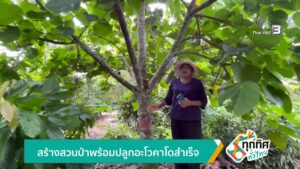 สร้างสวนป่าพร้อมปลูกอะโวคาโดสำเร็จ-ข่าวใต้แลได้ที่เรา-#thai