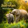 วันช้างโลก-12-สิงหาคม-ของทุกปี-วันช้างโลก-(world-elephant