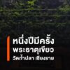 หนึ่งปีมีครั้งเดียว-ชม-พระธาตุสีเขียว-วัดถ้ำปลา-แม่สาย-หน