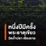หนึ่งปีมีครั้งเดียว-ชม-พระธาตุสีเขียว-วัดถ้ำปลา-แม่สาย-หน