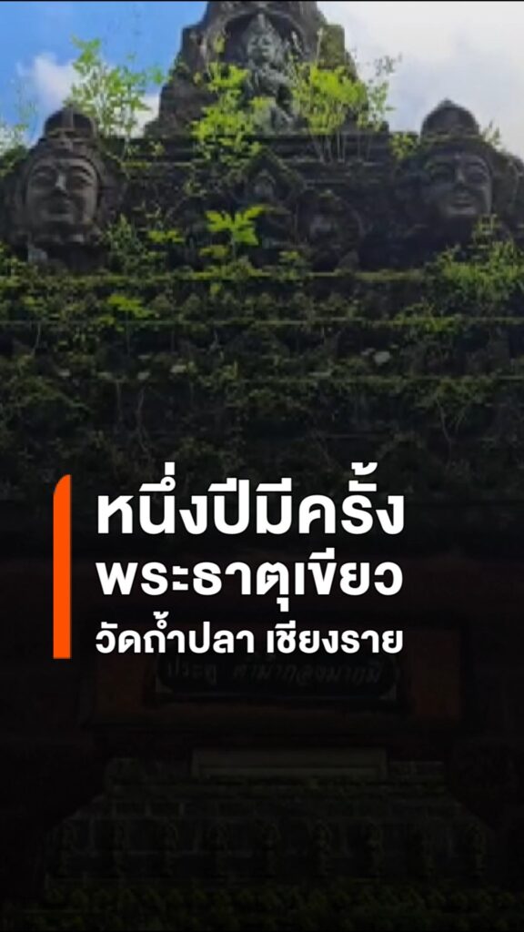 หนึ่งปีมีครั้งเดียว-ชม-พระธาตุสีเขียว-วัดถ้ำปลา-แม่สาย-หน