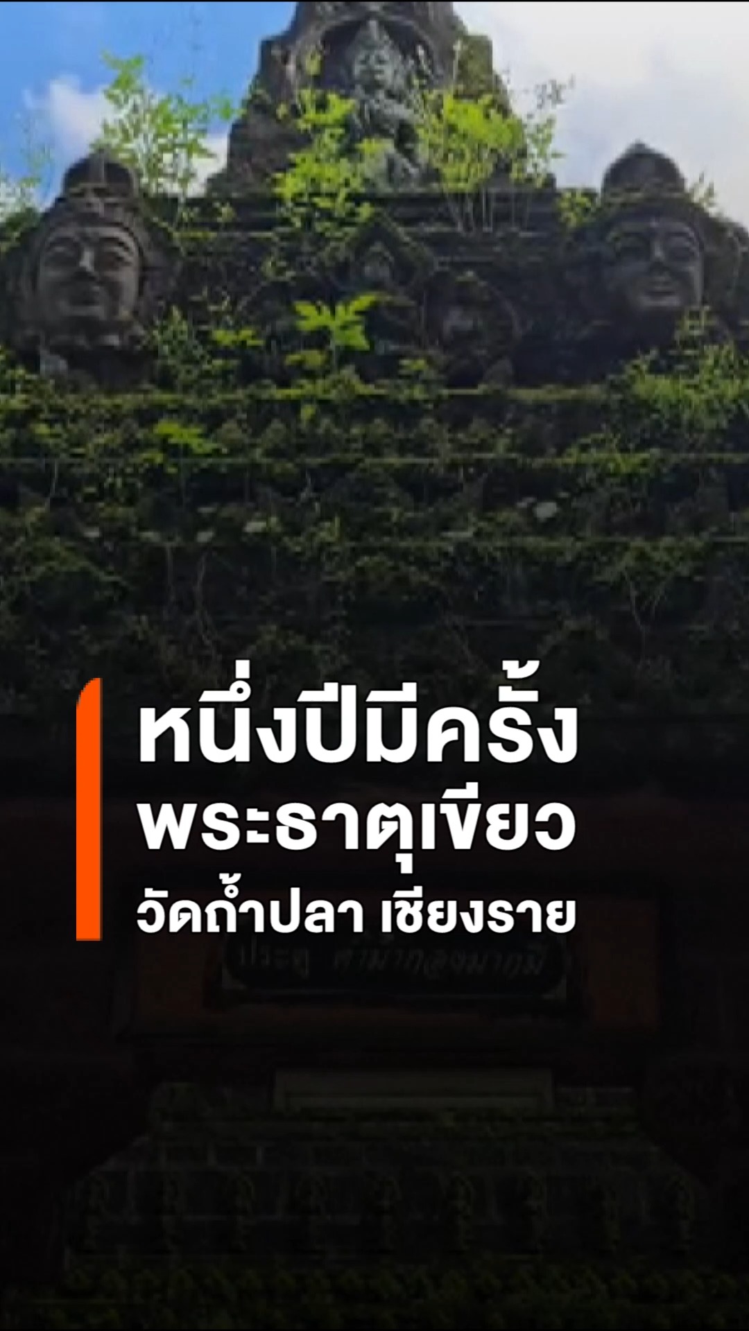 หนึ่งปีมีครั้งเดียว-ชม-พระธาตุสีเขียว-วัดถ้ำปลา-แม่สาย-หน
