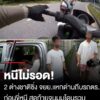 หนีไม่รอด